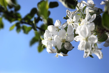 Similar image 1276977