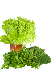 Similar image 1277609