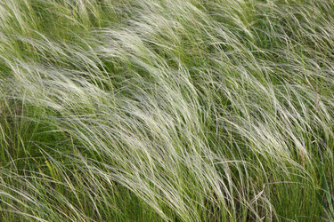 Similar image 1278067