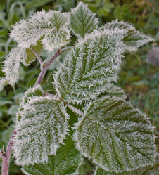 Similar image 1278089