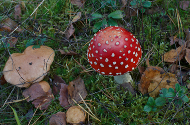 Similar image 1278090