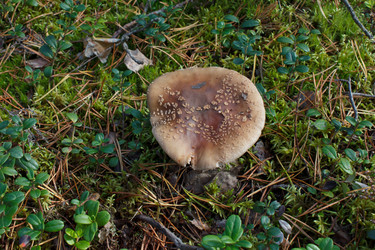 Similar image 1278092