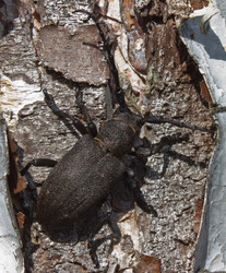 Similar image 1278093