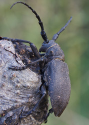 Similar image 1278094