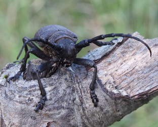 Similar image 1278097