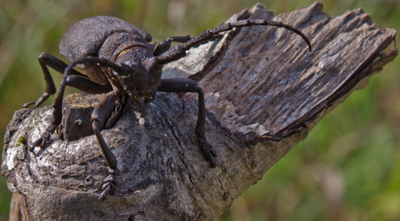 Similar image 1278098