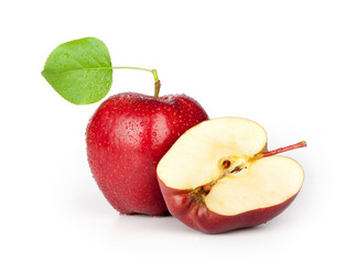 Similar image 1278204