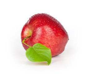 Similar image 1278205