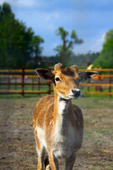 Similar image 1278251