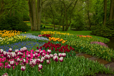 Similar image 1278295