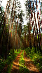 Similar image 1278331