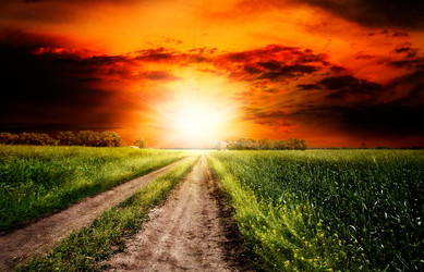 Similar image 1278337