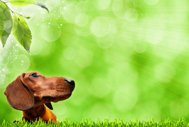 Similar image 1278338