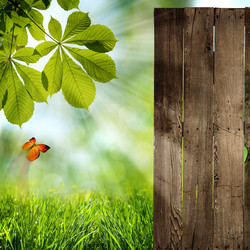 Similar image 1278339