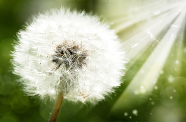 Similar image 1278344