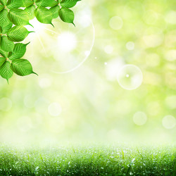 Similar image 1278408