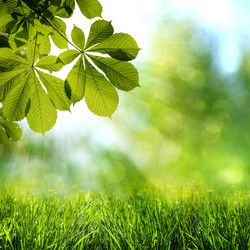 Similar image 1278409