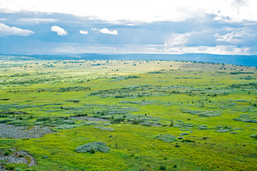 Similar image 1278456