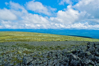 Similar image 1278459