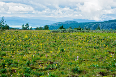 Similar image 1278464