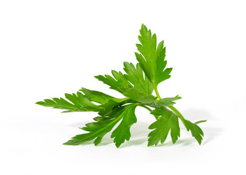 Similar image 1278713