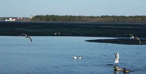 Similar image 1278761