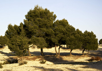 Similar image 1278771