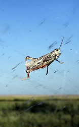 Similar image 1278776