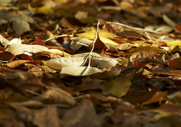 Similar image 1278779