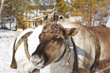 Similar image 1278874