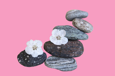 Similar image 1278891