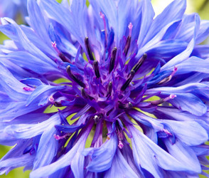 Similar image 1278895