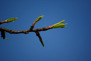 Similar image 1278896