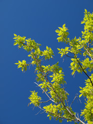 Similar image 1278901