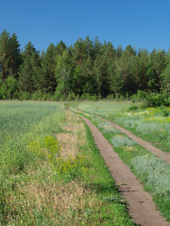 Similar image 1278906