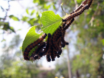 Similar image 1278935