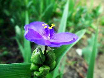 Similar image 1278937