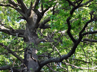 Similar image 1278940