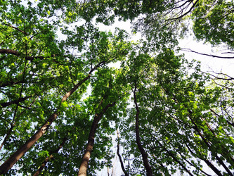 Similar image 1278942