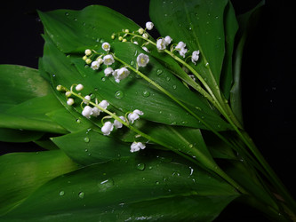 Similar image 1278944