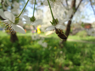 Similar image 1278946