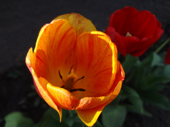 Similar image 1278947