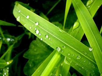 Similar image 1278953