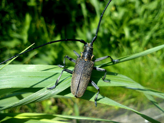 Similar image 1278954