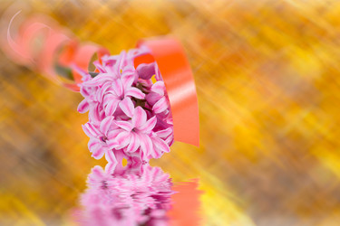 Similar image 1279067