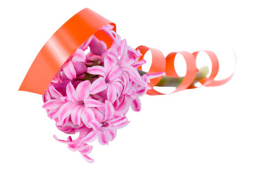 Similar image 1279071