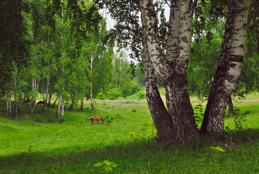 Similar image 1279104