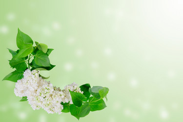 Similar image 1279168