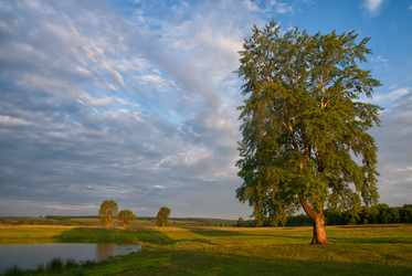 Similar image 1279199