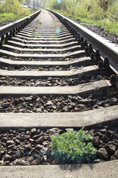 Similar image 1279230